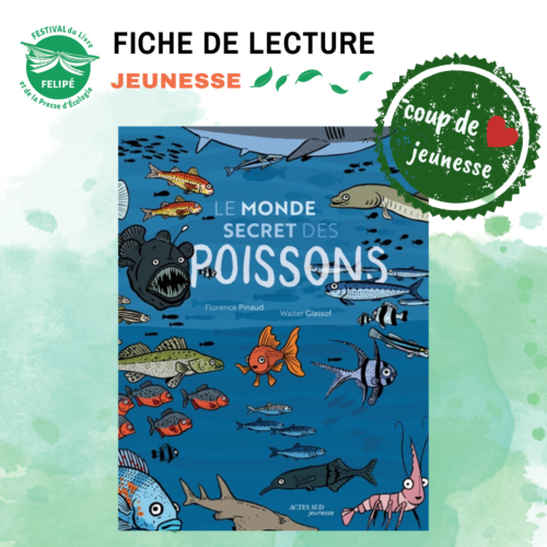 Le monde secret des poissons