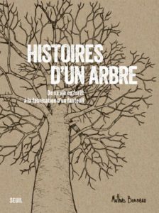 histoires d un arbre